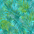 Image Not Available